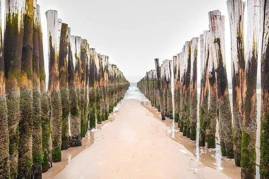 alfombras kilim,  alfombras a medida comporta étnicas, modernas, kilims artesanales tejidos a mano en fibras naturales
